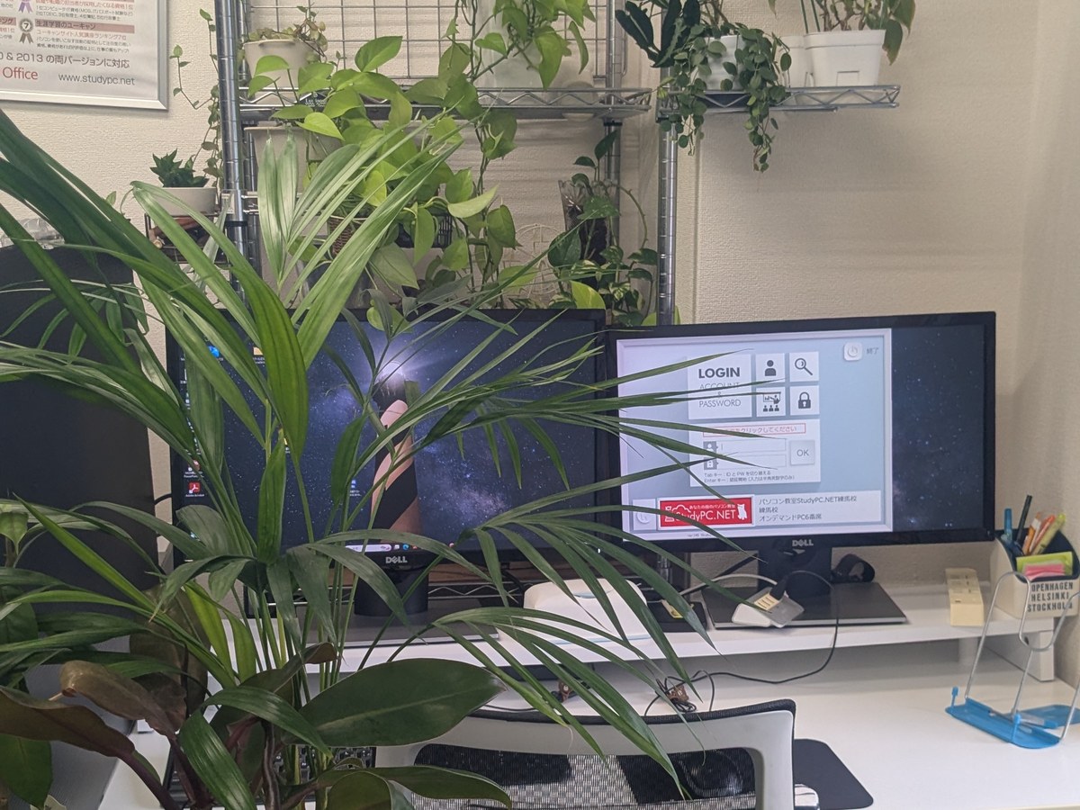 「植物園ですか」と言われる教室の緑